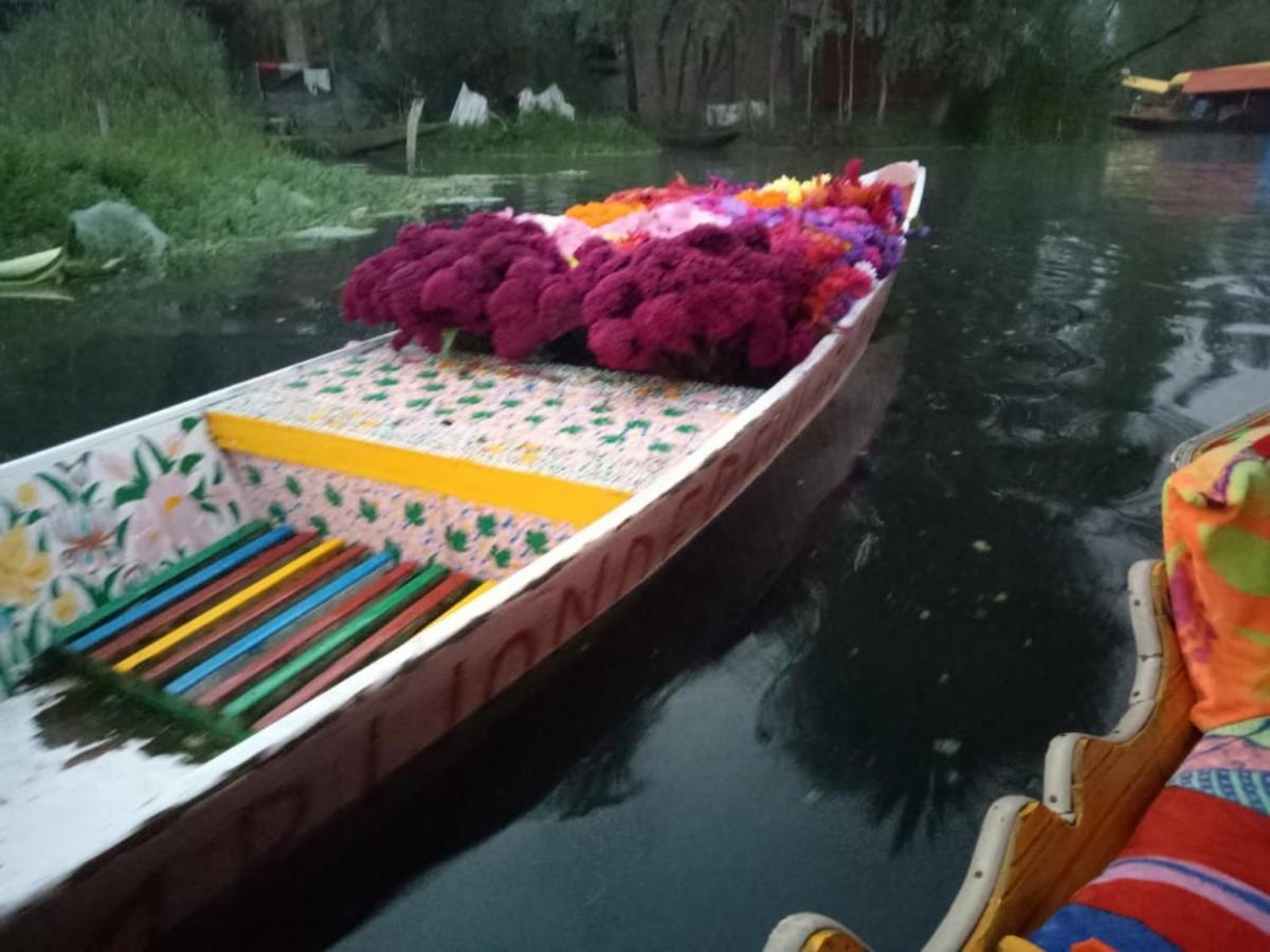 Umbrella Group Of House Boat Hotel Srinagar  Luaran gambar